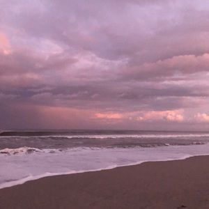 Meet your Posher, Bella